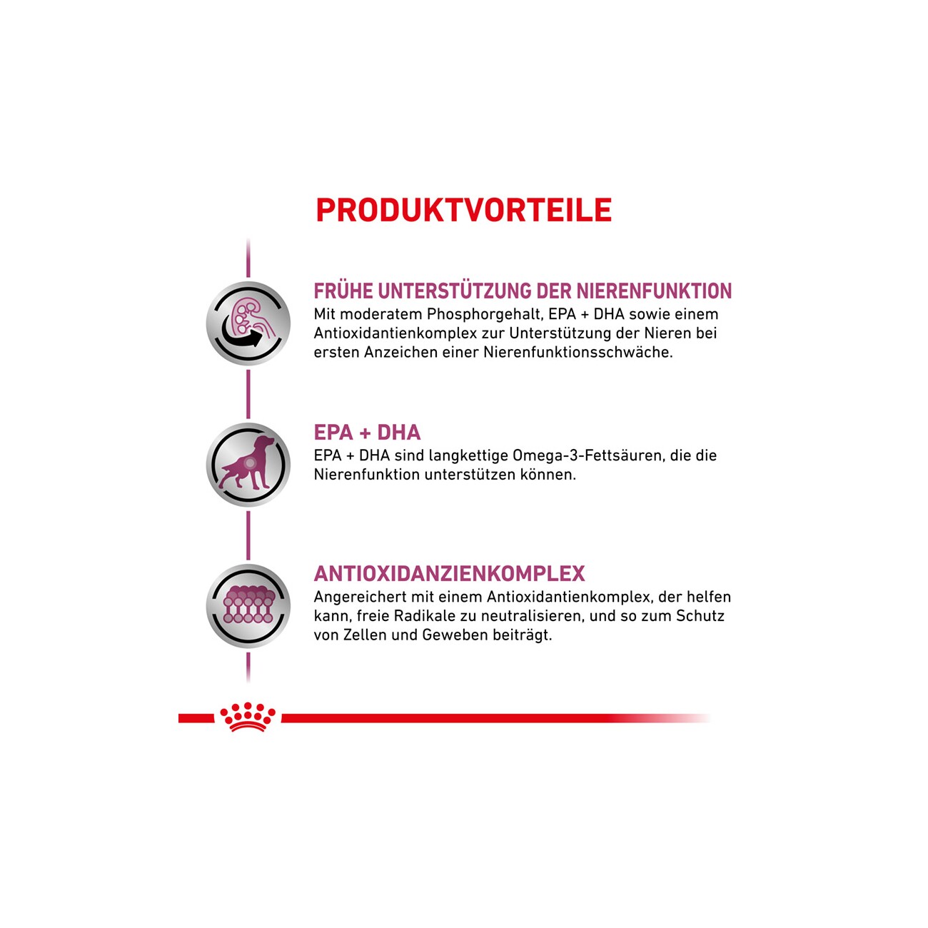 ROYAL CANIN ® Veterinary EARLY RENAL Stückchen in Soße 12x100g