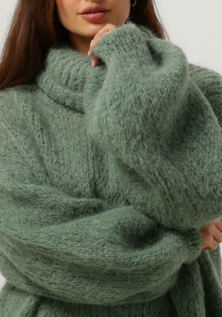 AMERICAN DREAMS groene american dreams coltrui pepper roll neck alpaca pullover