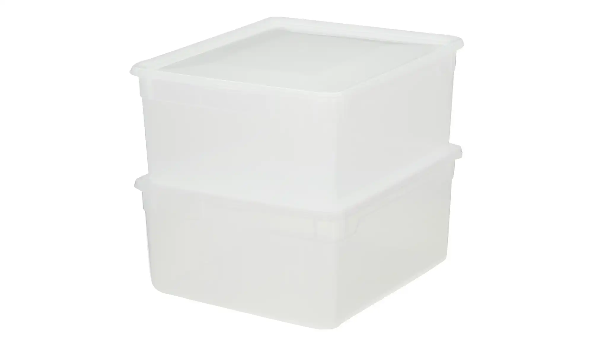 Rotho Aufbewahrungsbox, 2er Set