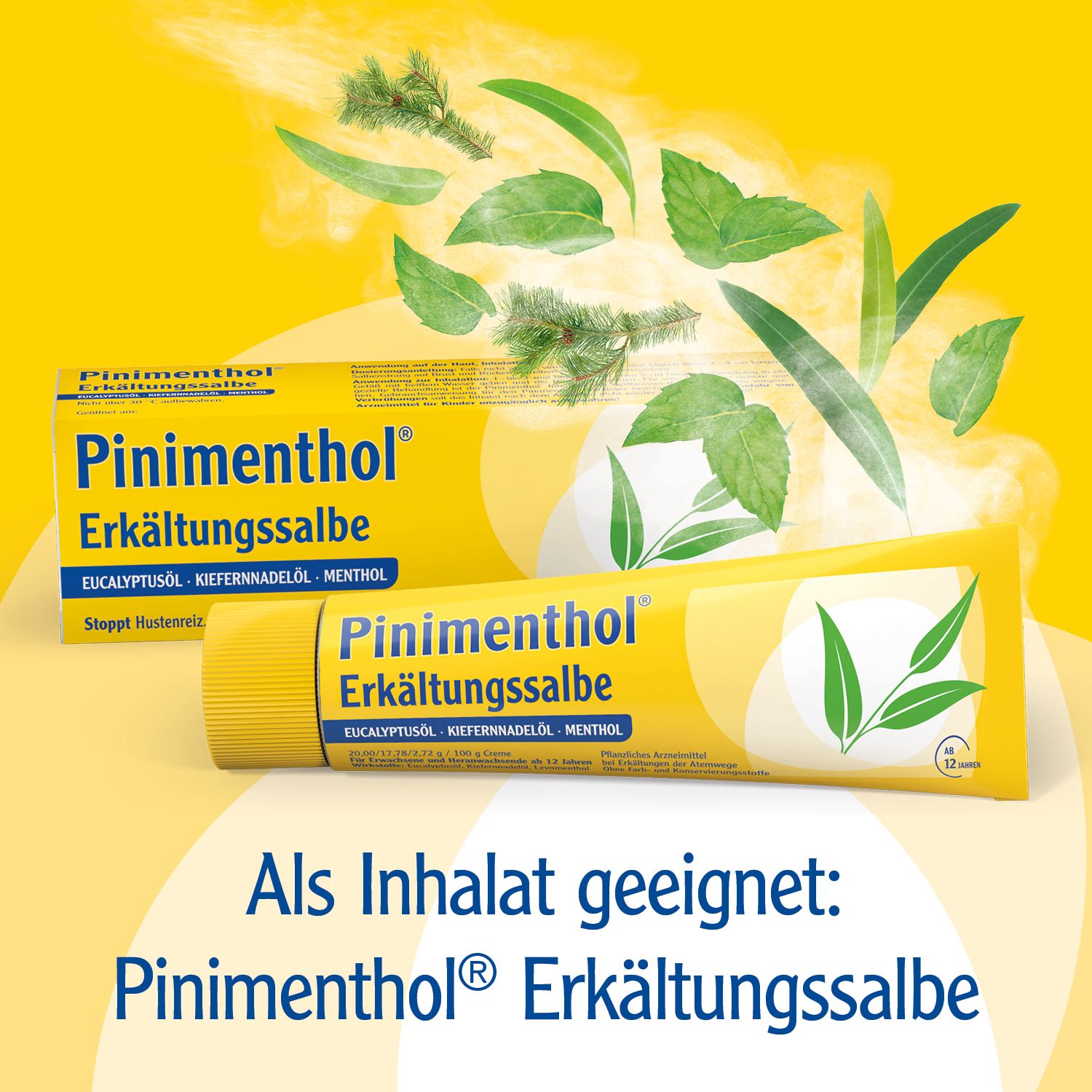 Pinimenthol® Inhalator - mit Heißwasser-Rückhalte-System