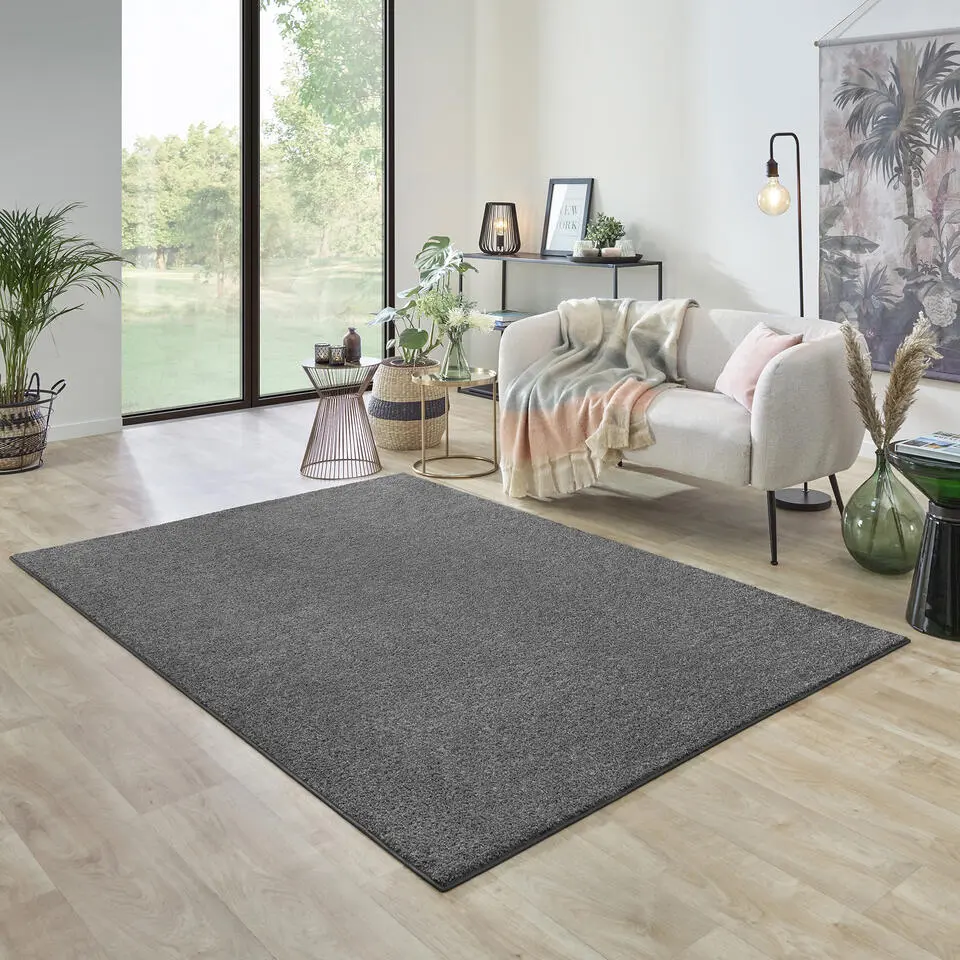 Carpet Studio Ohio Vloerkleed - Grijs - 160x230cm