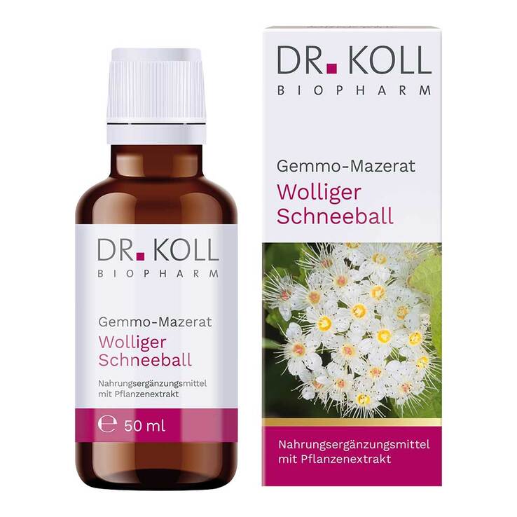 Gemmo-Mazerat wolliger Schneeball Dr. Koll Viburnum lantana Tropfen, 50 ml
