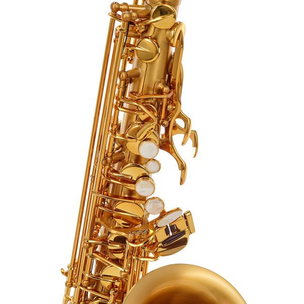 Selmer Signature Alto Sax SE-ASIM