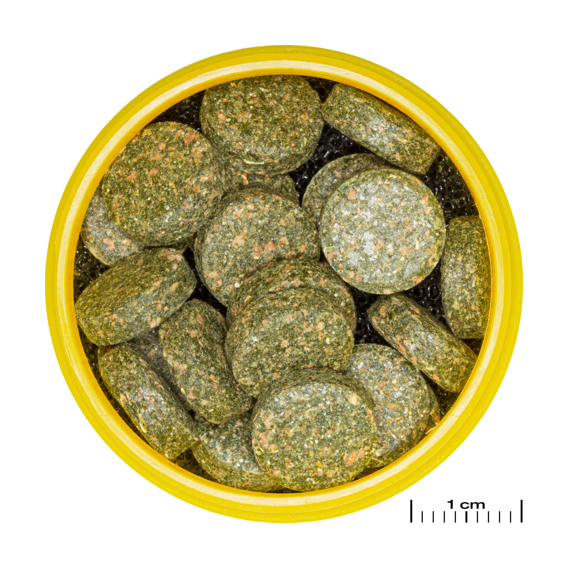 JBL Pronovo Botia Tab M 100ml | Zinkende tabletten