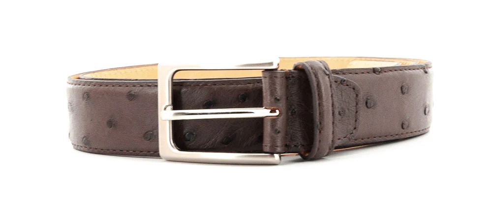 SILVANO BIAGINI - CEINT C102 AUT