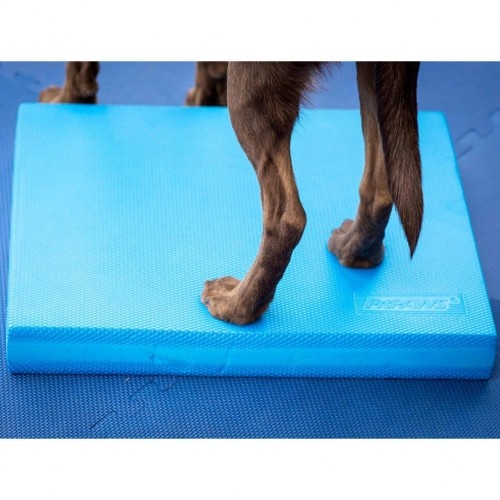 Tapete de equilíbrio para animais de estimação, azul