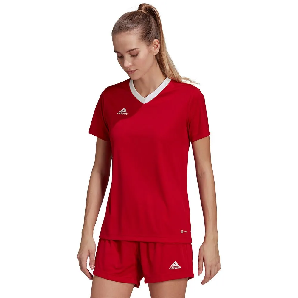Camiseta de manga curta adidas Entrada 22