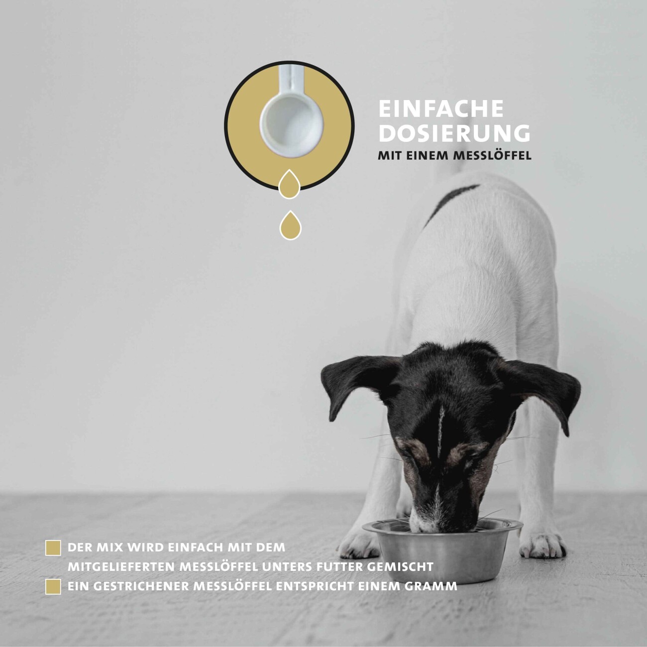 Peticare D-Mix Pulver - Sättigend mit Ballaststoffen für Hunde