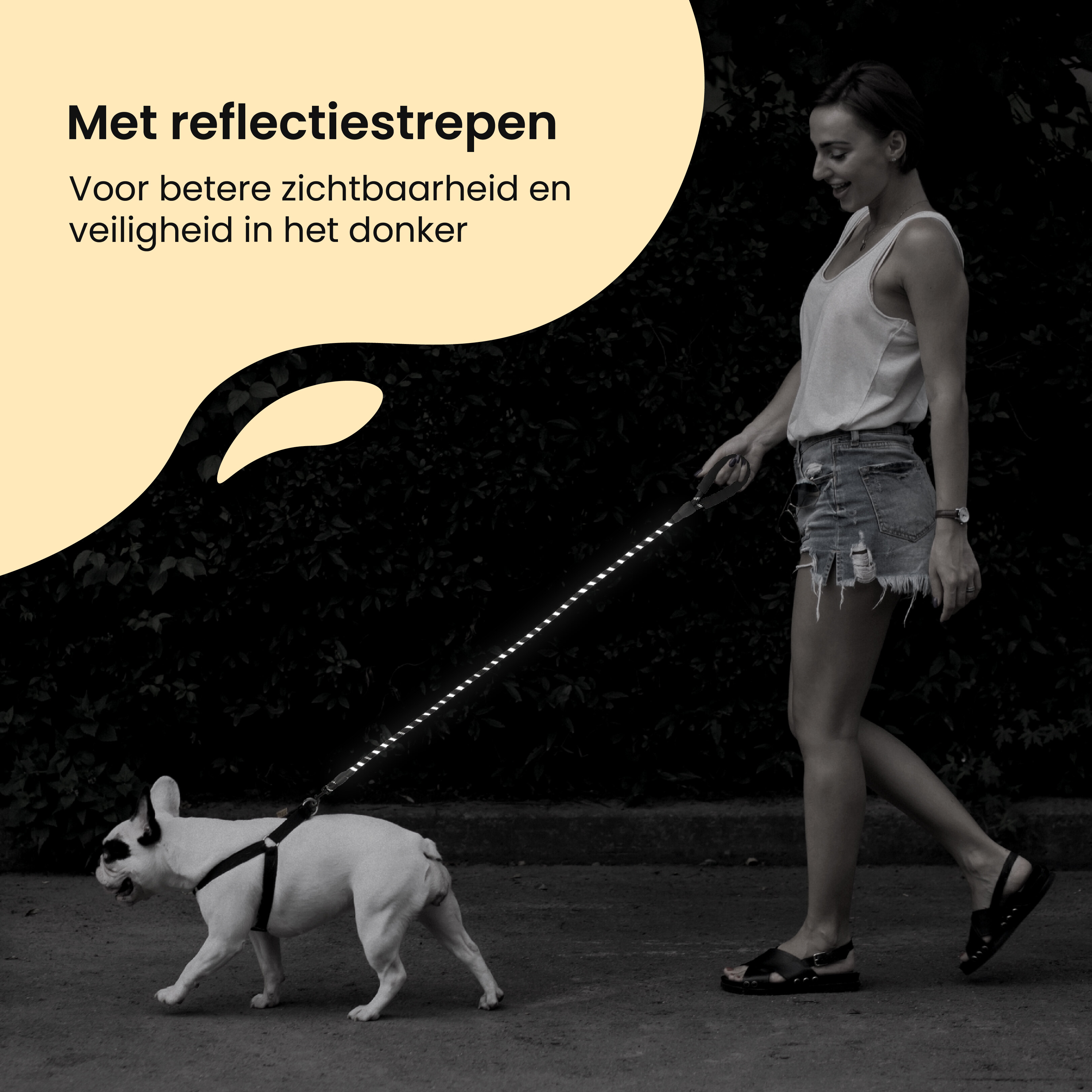 All 4 Pets Supply reflecterende hondenriem - 3 Meter