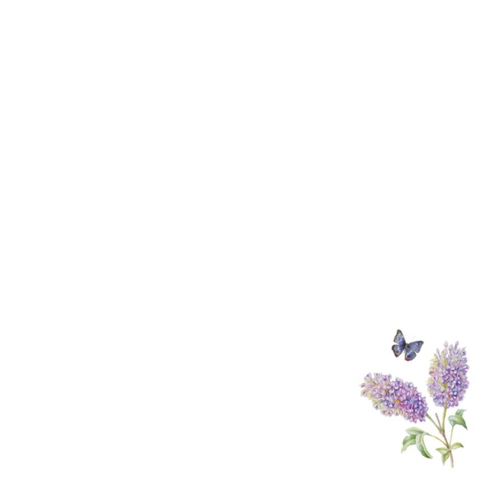 Janneke Brinkman | Verjaardagskaart | Bloemen