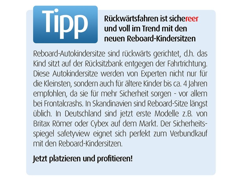 Reer Veiligheidsspiegel