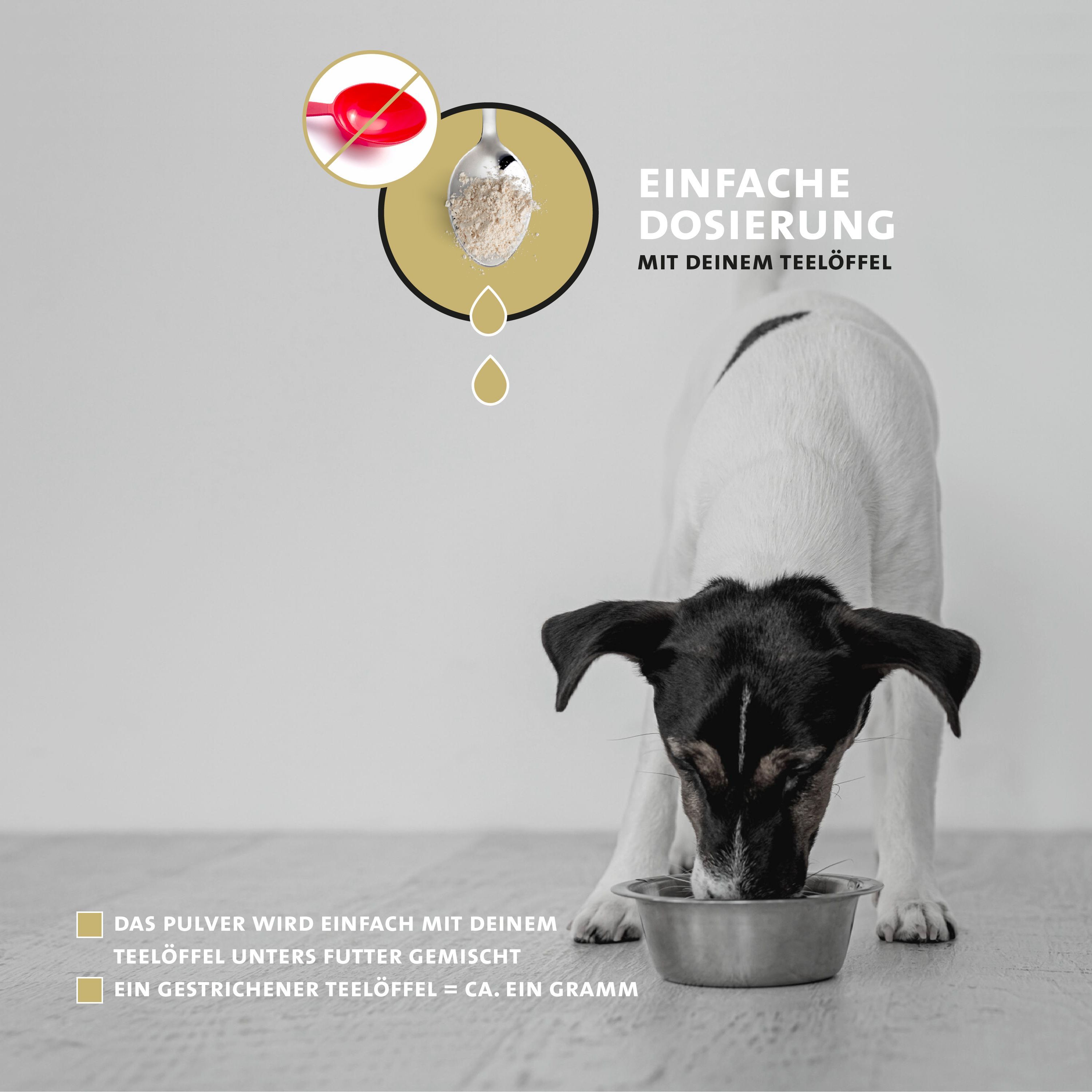Peticare Muskulatur Pulver für Hunde, mit essenziellen Aminosäuren, Kollagen