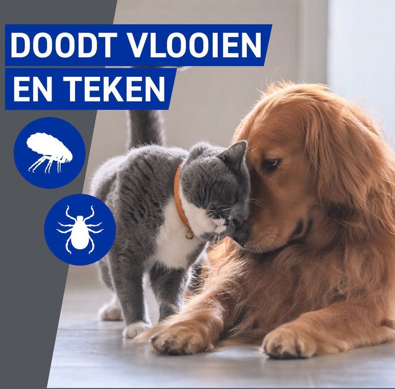 Frontline Homegard - Anti Vlooien Omgevingsspray - 500 ml