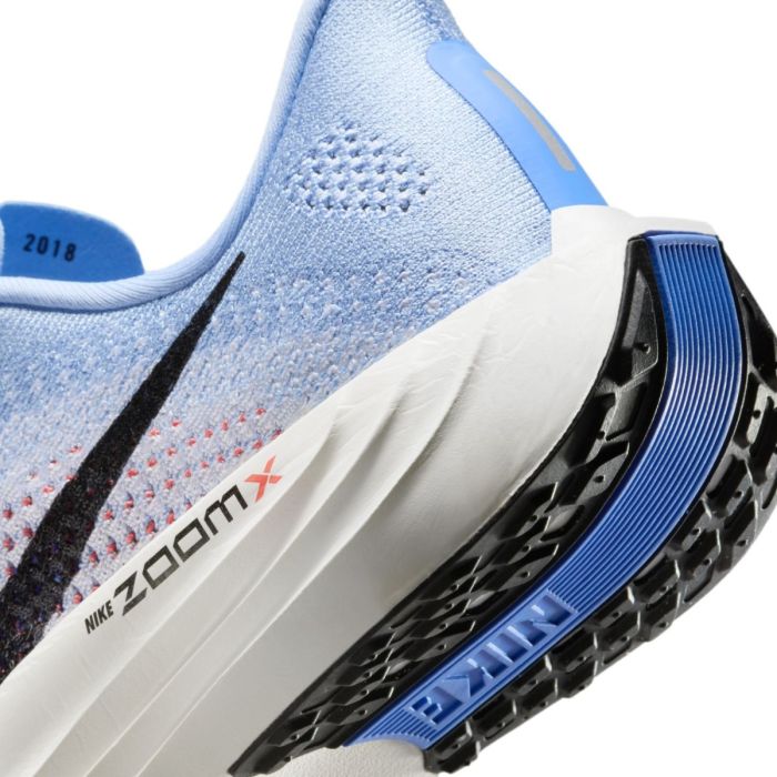 Nike Dame Løbesko Pegasus Plus Blå