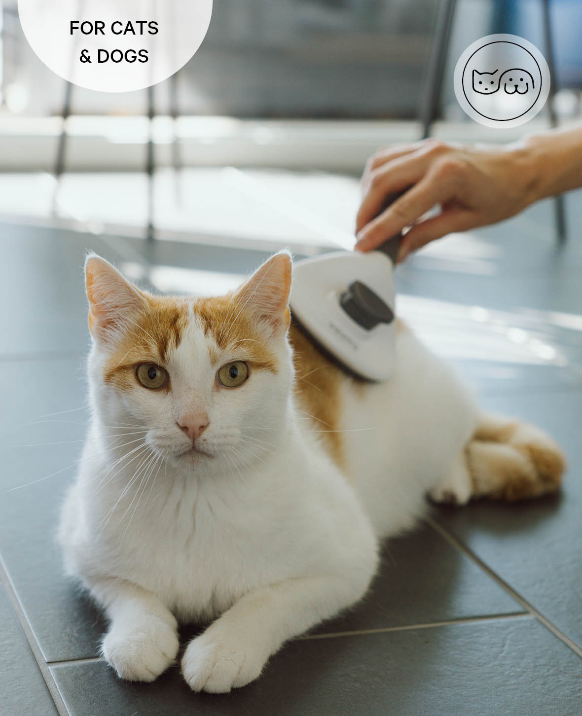 Esmée Pets - Selbstreinigende Haustier Fellbürste für Unterwolle Pflege - Grau