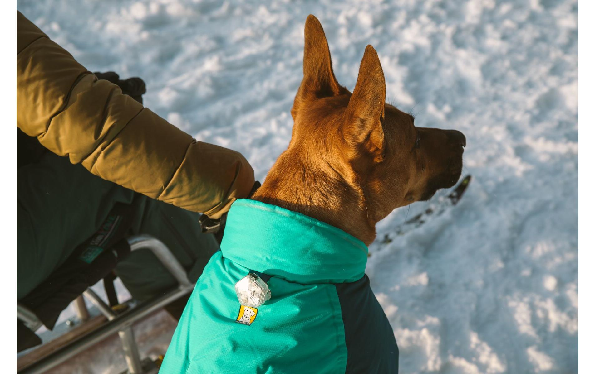 Wintermantel Vert, S, Aurora TealWärmender und wasserdichter Hundemantel