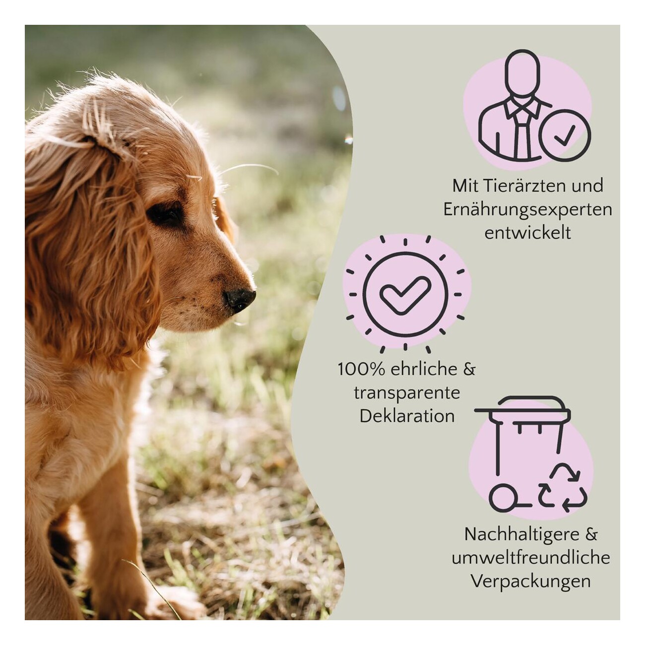 FAVLY Petfood Ziegenkopfhaut 600 g
