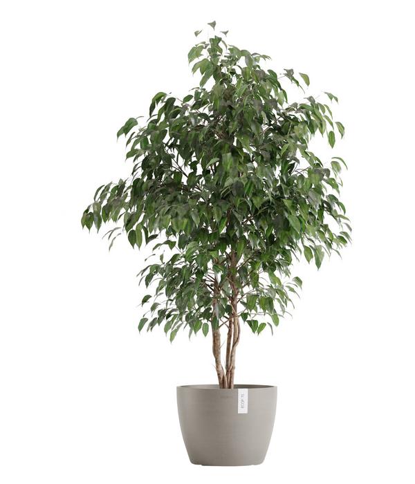 Ecopots Kunststoff-Topf Stockholm, rund