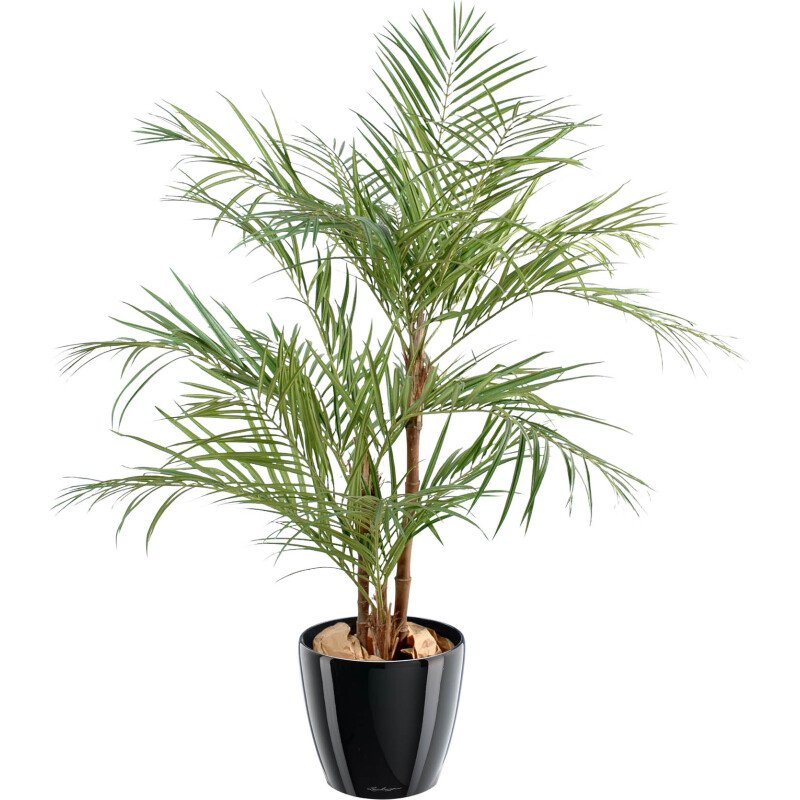 Plante artificielle d'intérieur palmier Aréca 170 cm