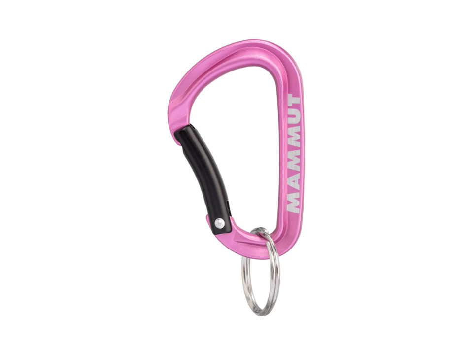 Mini Carabiner Classic Keylock S