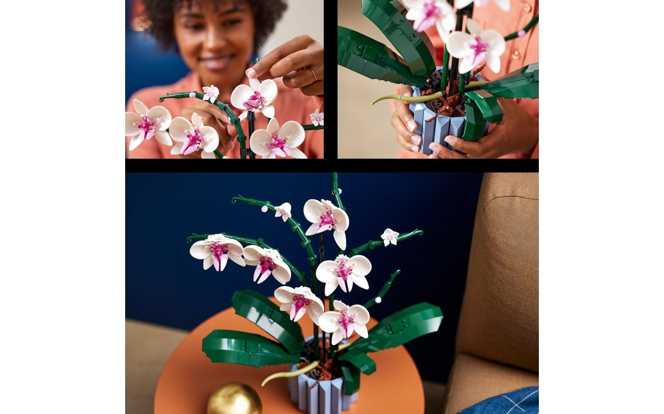 LEGO 10311 Botanicals Orchidee