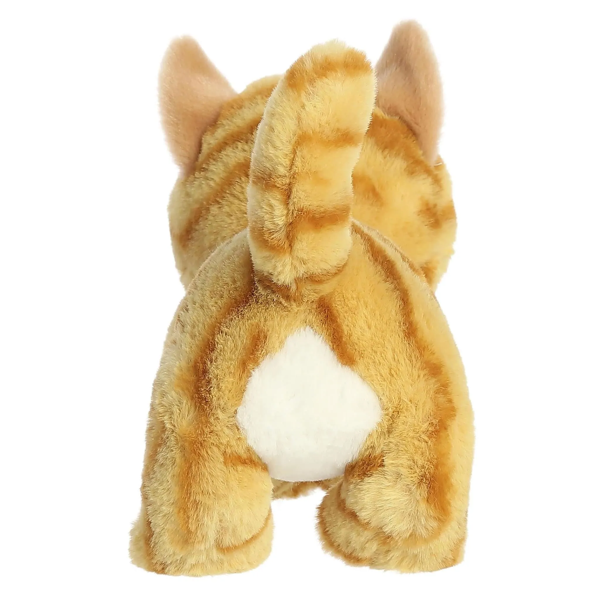 Aurora Chat Tabby 8.5