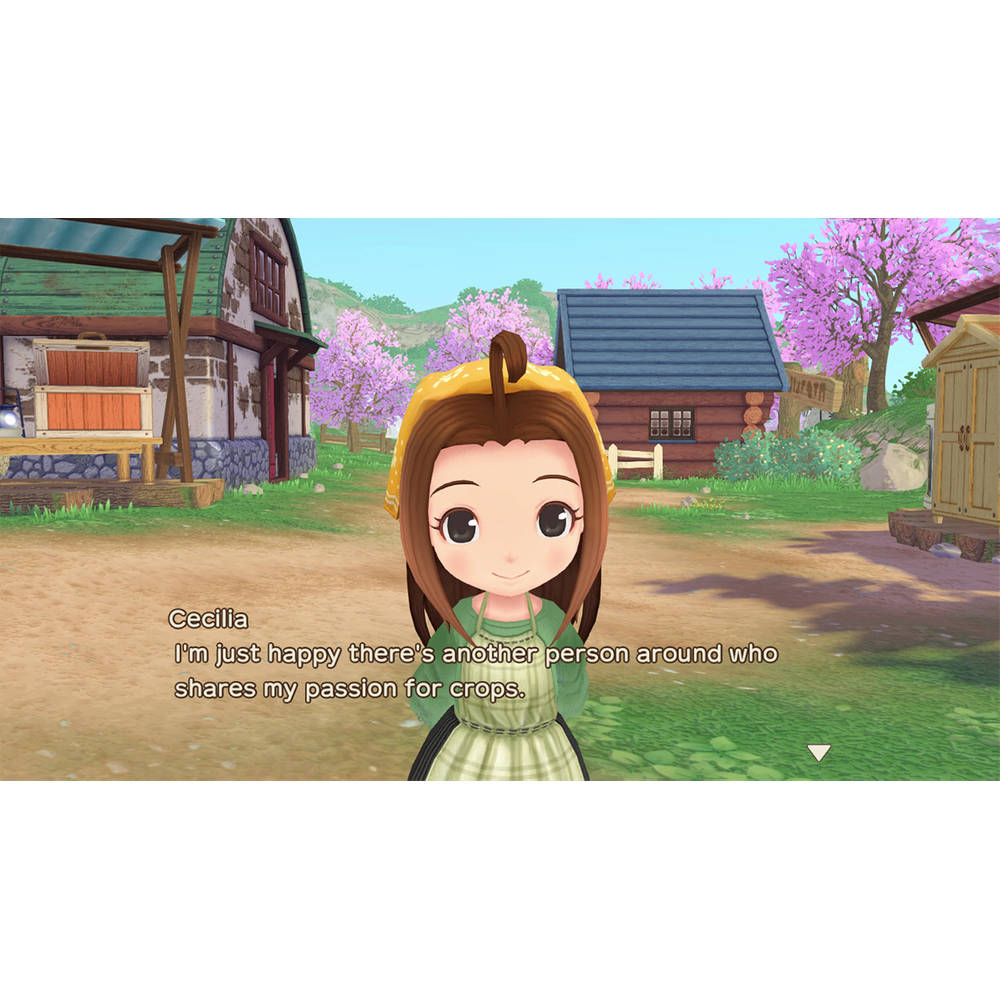 Story of Seasons A Wonderful Life Nintendo Switch
