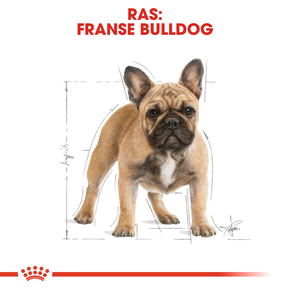 Royal Canin French Bulldog Adult - Hondenvoer