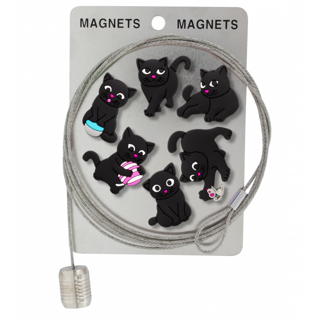 Câble porte photos et magnets - Magnetic Cable