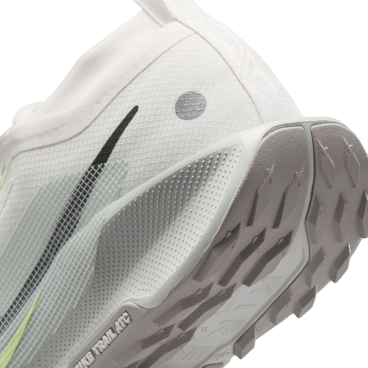 Nike Pegasus Trail 5 GTX Heren