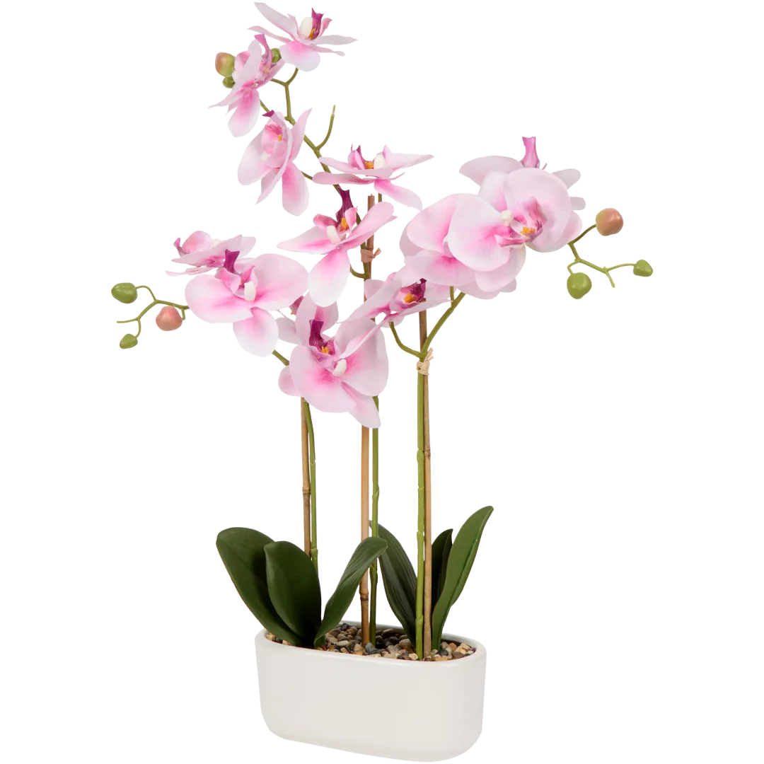 Orchidée artificielle en pot