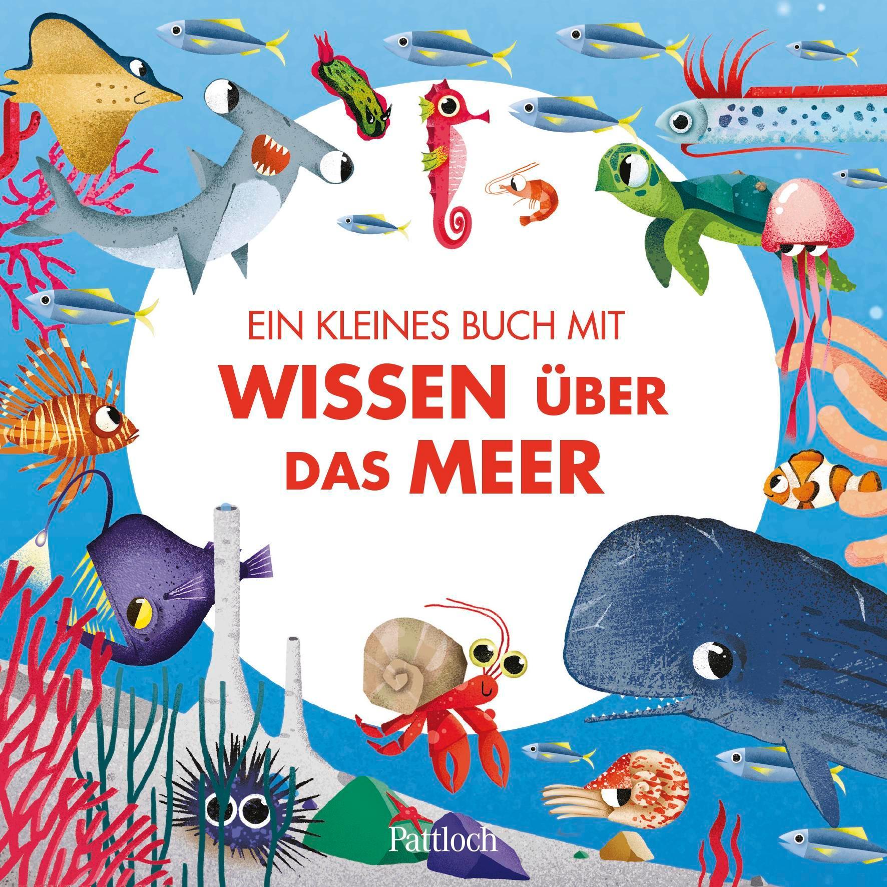 Meine erste Puzzle-Box. Der Ozean