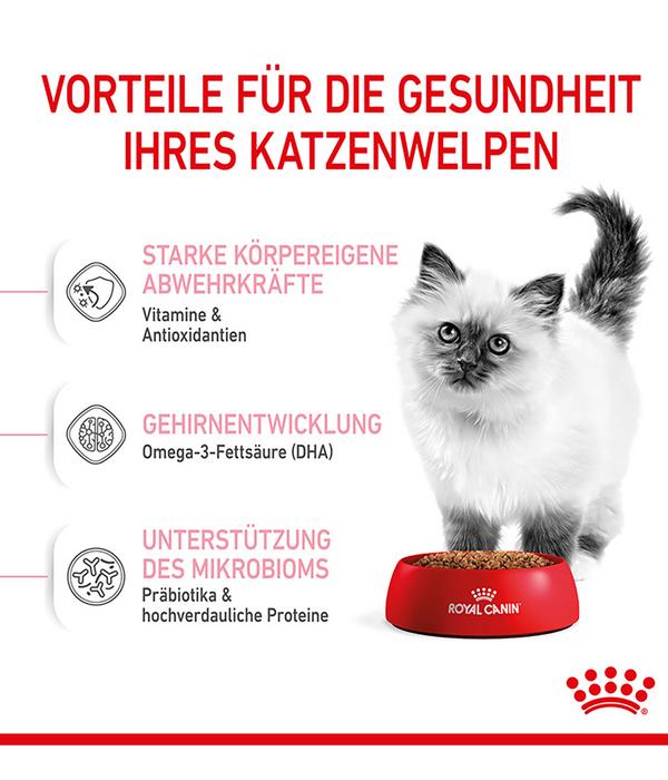 ROYAL CANIN® Trockenfutter für Katzen Kitten