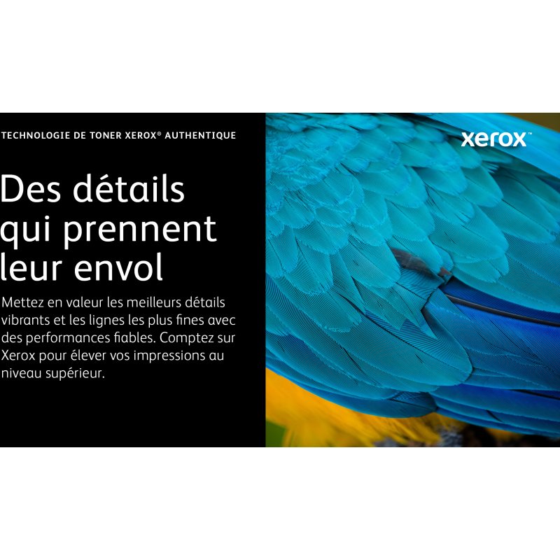 Xerox Cartouche de toner Magenta de Grande capacité Imprimante couleur ® C230/multifonctions ® C235 (2500 pages) - 006R04393