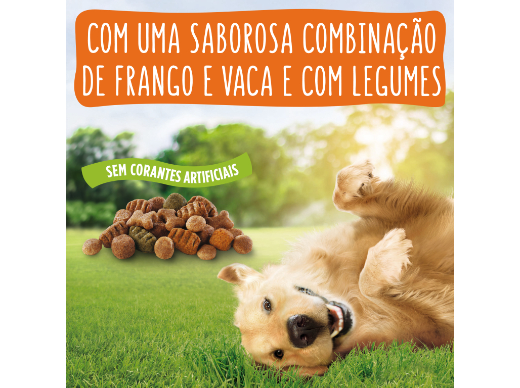 RAÇÃO PARA CÃO FRISKIES BALANCE COM FRANGO 4KG