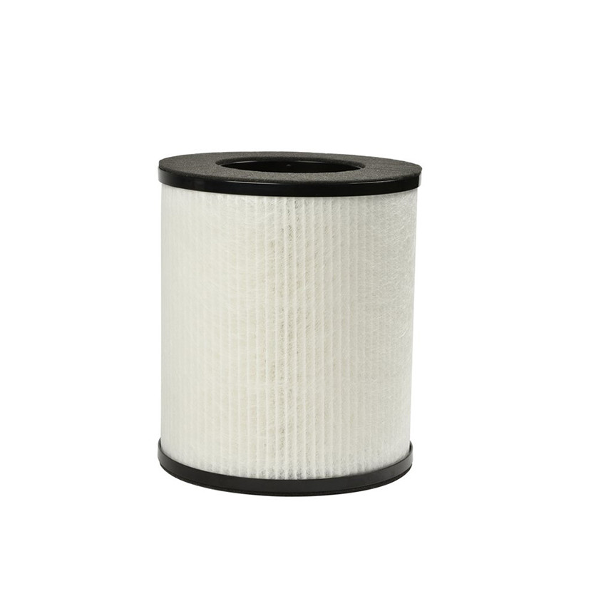 Filtre de purificateur d'air