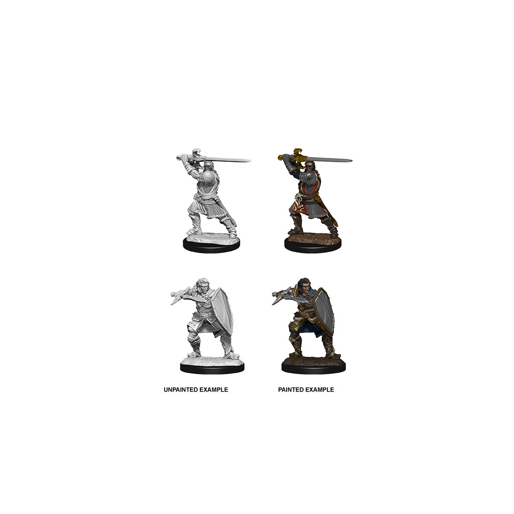 D&D Nolzur's Marvelous Unpainted Miniatures: Human Paladin Male