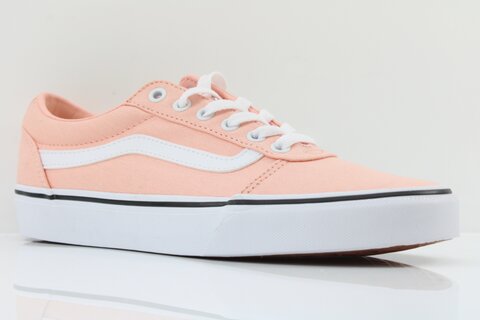 Vans Sneaker