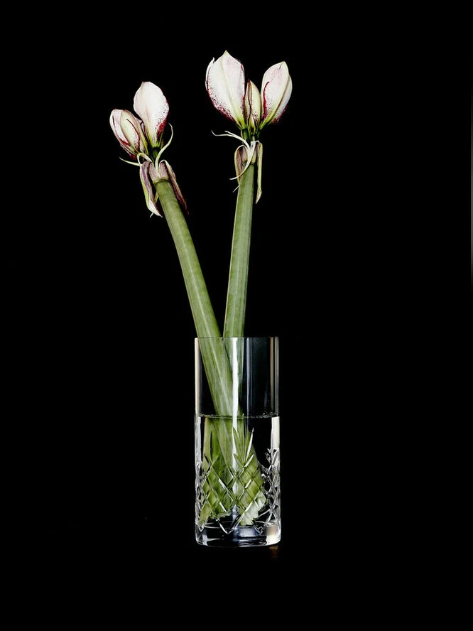Frederik Bagger Crispy Love vase 1 Transparant
