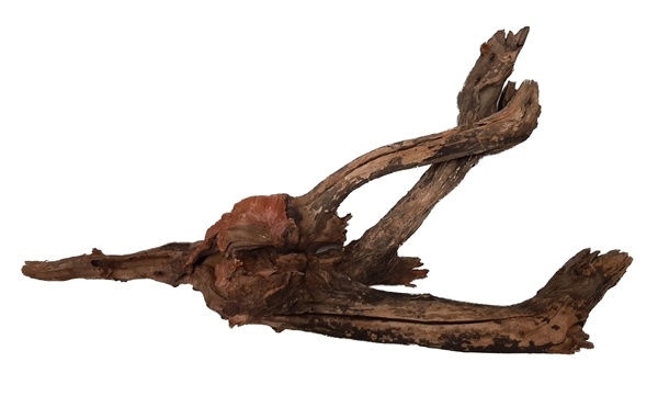 HS Aqua River Wood XL 51-70 CM  | Natuurlijk decoratiehout