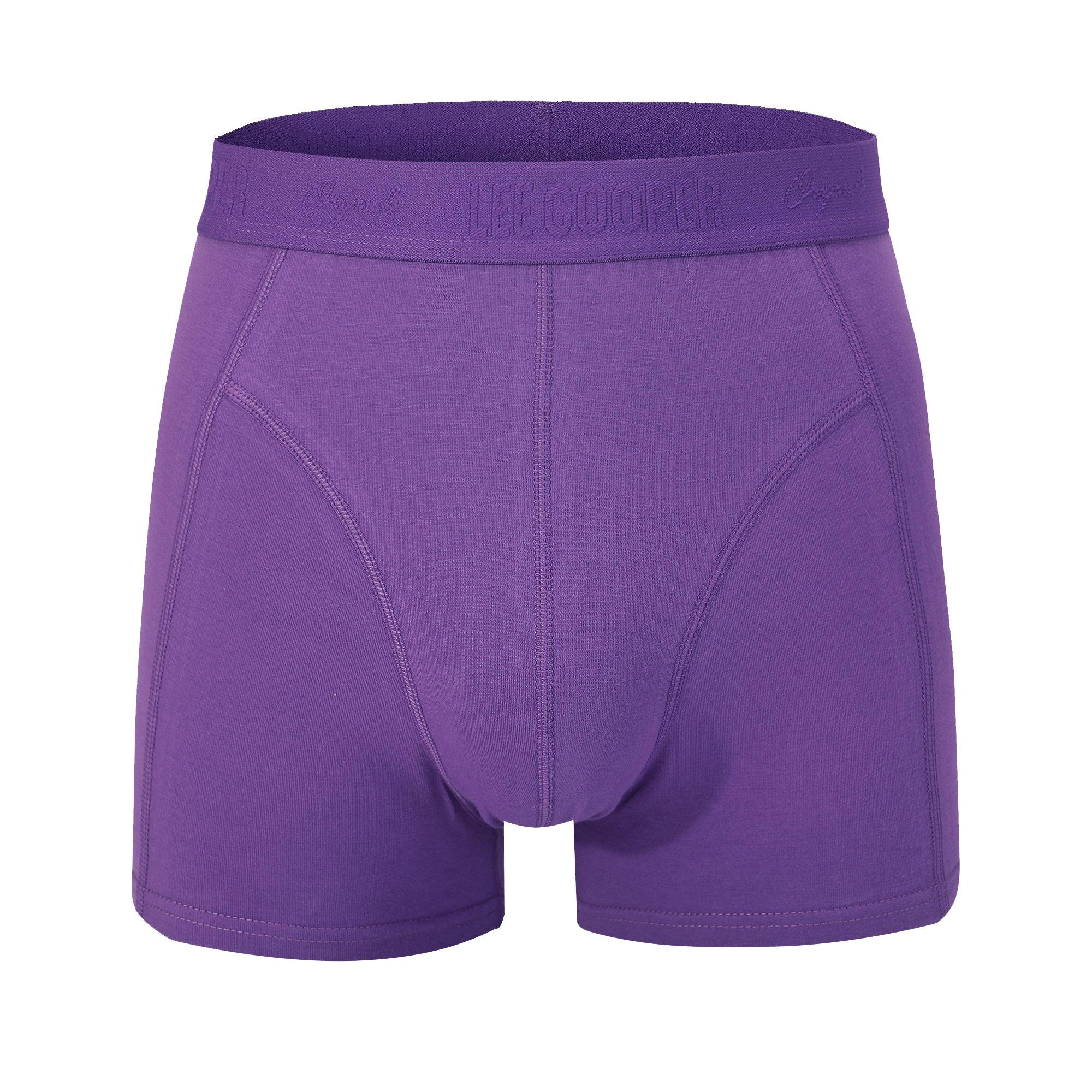 Lee Cooper Mens 10-Pack Hipster Trunks