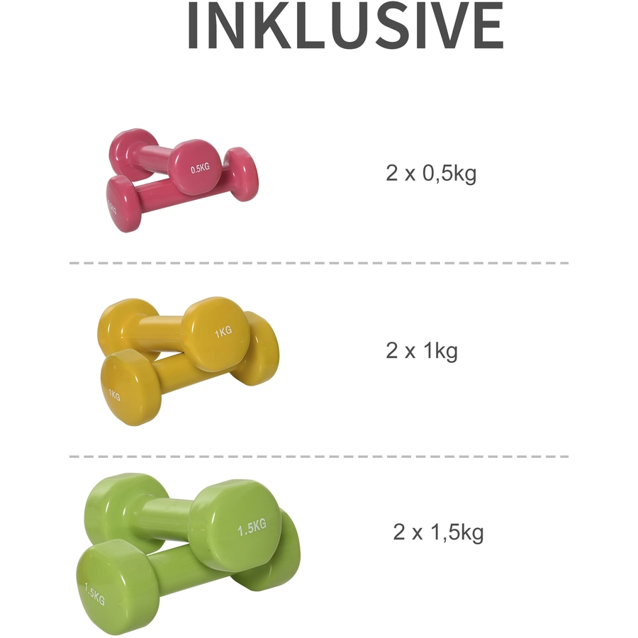 HOMCOM Hantel Set 6 kg bunt