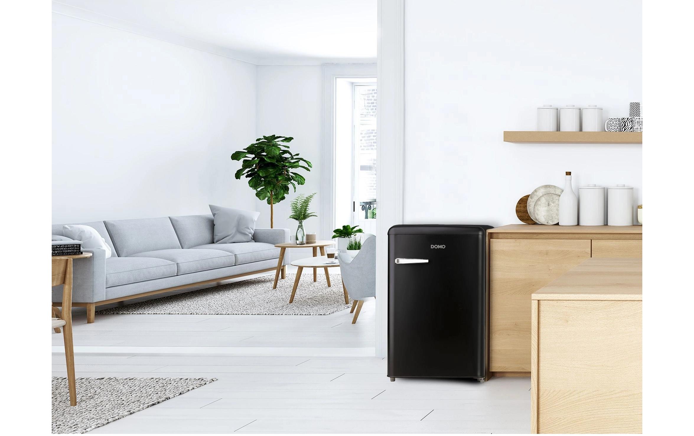 Kühlschrank DO91770R Rechts<br>Kompakter Kühlschrank