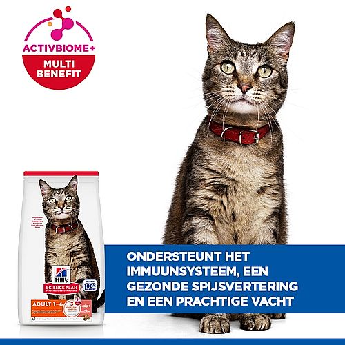 Hill's Science Plan Adult Kattenvoer Zalm