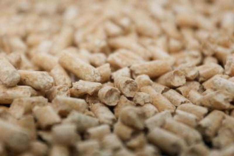Peewee Houtkorrels Kattenbakvulling - 9  kg (14l)