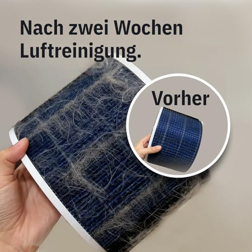 Luftreiniger Allergiker Pet HEPA H13 + Filter-Kit Air Klyna S I 300 CADR, 21,5 dB, Smart App, Alexa, Siri, Google Assistant I Ersatzfilter für Allergiker & Tierbesitzer I Server in DE