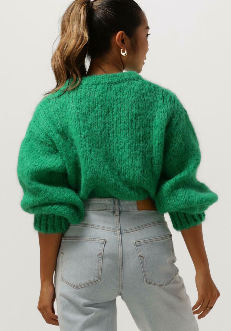 AMERICAN DREAMS groene american dreams trui leonnie alpaca pullover
