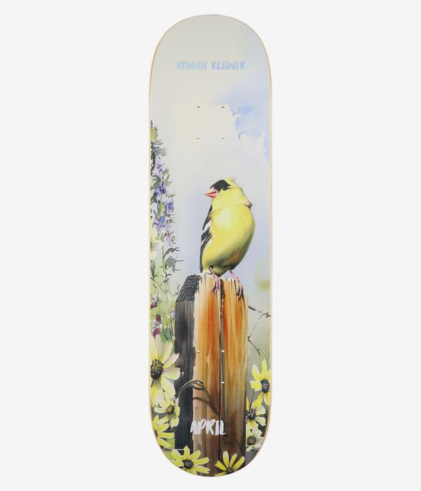 April Kessner Gold Finch 8.25