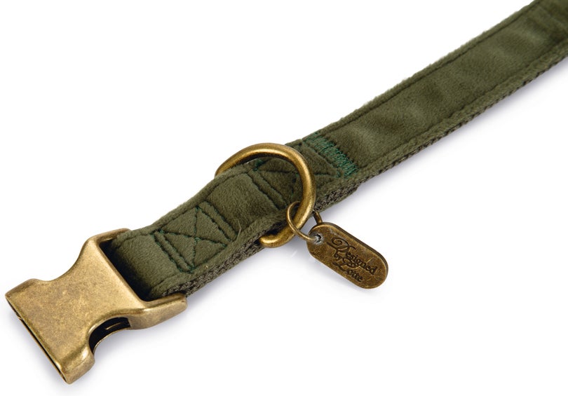 Designed by Lotte hondenhalsband Velura groen 48-70 x 2,5 cm