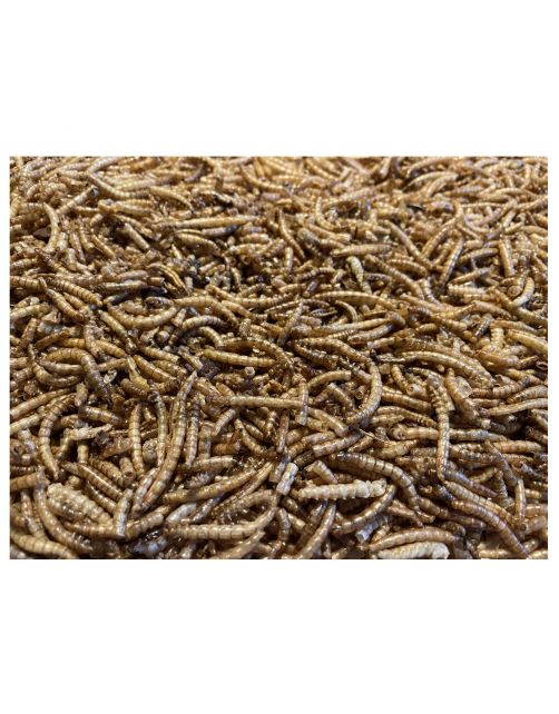 Allbirds&Co Gedroogde Meelwormen In Emmer - Tuinvogelvoer - 850 g